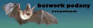 400_Batwork_Podany
